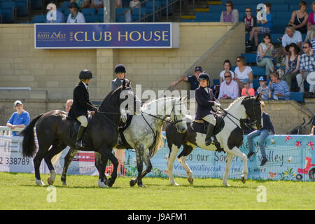 Shepton Mallet, Royaume-Uni. 1er juin 2017. Baignoire et West Show 2017. James Thomas/Alamy Live News Banque D'Images