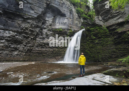 Eagle Cliff Falls - La Havane Glen, Montour Falls, NY Banque D'Images