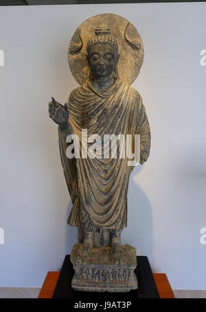 Comité permanent, Bouddha, probablement du Gandhara, Tarbela c. 3e siècle, schiste gris Matsuoka Museum of Art, Tokyo, Japon DSC07095 Banque D'Images
