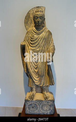 Bouddha Debout, le Gandhara, ch. 2e 3e siècle, schiste gris Matsuoka Museum of Art, Tokyo, Japon DSC07105 Banque D'Images