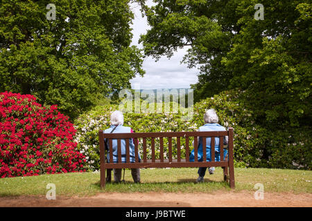 Deux dames étaient assises sur un banc en bois admirant la vue depuis Bowood Woodland Gardens Rhododendron Gardens, Calne, Wiltshire, Angleterre, Royaume-Uni Banque D'Images