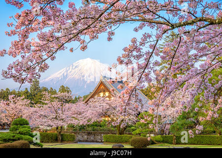 Shizuoka, Japon avec Mt. Fuji au printemps. Banque D'Images