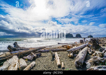 La magnifique plage de pousser dans la réserve indienne Quileute - Fourches - WASHINGTON Banque D'Images