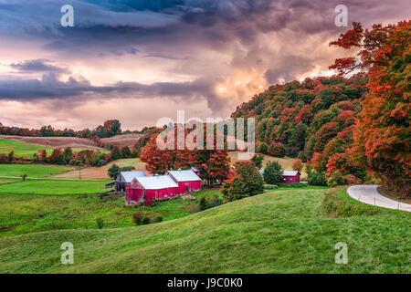 Jenné automne Rural Farm dans le Vermont, USA. Banque D'Images