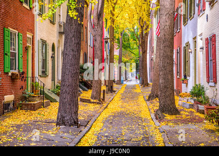 Philadelphie, Pennsylvanie, USA alley à l'automne. Banque D'Images