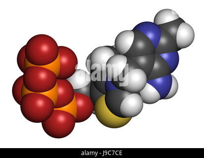 Le triphosphate de thiamine molécule. Le rendu 3D. Les atomes sont représentés comme des sphères avec codage couleur classiques Banque D'Images