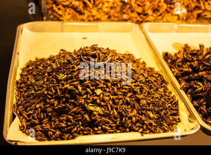 Les insectes frits croustillants sont des spécialités régionales dans de nombreux pays asiatiques comme la Thaïlande. Banque D'Images
