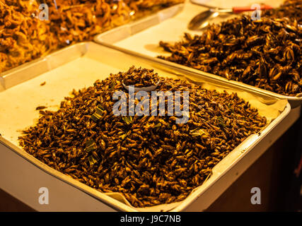 Les insectes frits croustillants sont des spécialités régionales dans de nombreux pays asiatiques comme la Thaïlande. Banque D'Images