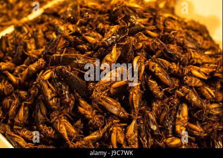 Les insectes frits croustillants sont des spécialités régionales dans de nombreux pays asiatiques comme la Thaïlande. Banque D'Images