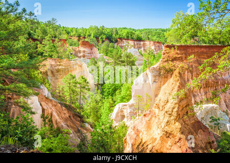 Providence Canyon Lumpkin, Georgia, USA. Banque D'Images