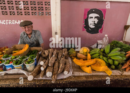 Les fruits et légumes en vente par vendeur privé au Mercado Industrial à Cienfuegos, Cuba, Antilles, Caraïbes Banque D'Images
