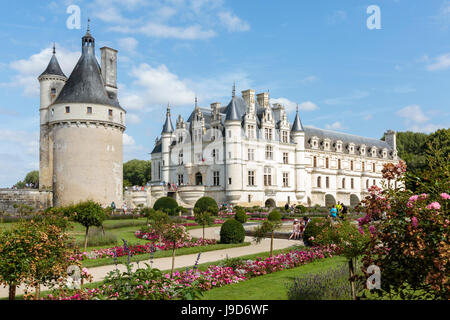 Fleurs d'été dans le parc du château de Chenonceau, UNESCO World Heritage Site, Chenonceaux, Indre-et-Loire, Centre, France, Europe Banque D'Images