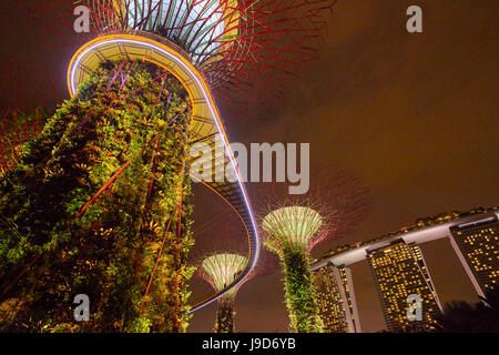 Jardin Rhapsody musique et spectacle de feux dans les jardins par l'Supertrees à Bay, Singapour, Malaisie, en Asie du Sud-Est, l'Asie Banque D'Images