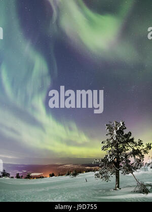 Panorama de Snowy Woods et arbres gelés encadrée par Northern Lights (aurores boréales) et étoiles, Levi, Sirkka, mine Kittila, Finlande Banque D'Images