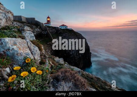 Ciel rose au coucher du soleil et des fleurs jaunes le phare du châssis, Cabo de Sao Vicente, Lagos, Algarve, Portugal, Europe