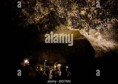 Lampes de spéléologues qui brille sur les chauves-souris dans les grottes de chauves-souris, Pokhara Pokhara, Népal, Asie Banque D'Images