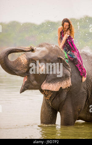 Femme assise sur un éléphant un éléphant se douche, sanctuaire des éléphants de Chitwan, Népal, Asie Banque D'Images