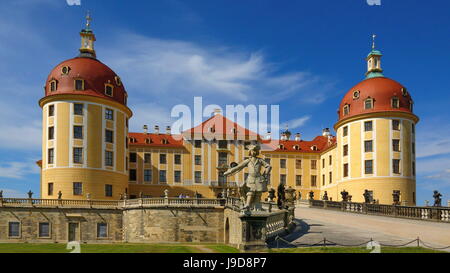 Château de Moritzburg près de Dresde, Saxe, Allemagne, Europe Banque D'Images