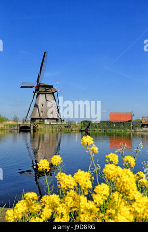 Moulin à Kinderdijk, UNESCO World Heritage Site, Hollande méridionale, Pays-Bas, Europe Banque D'Images