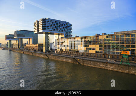 Maisons grue à Rheinau Harbour, Cologne, Rhénanie du Nord-Westphalie, Allemagne, Europe Banque D'Images