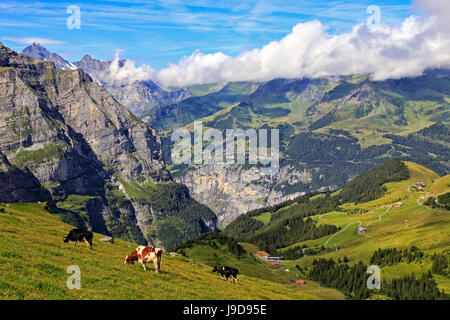 Voir à partir de la petite Scheidegg à Murren et vallée de Lauterbrunnen, Grindelwald, Oberland Bernois, Suisse, Europe Banque D'Images