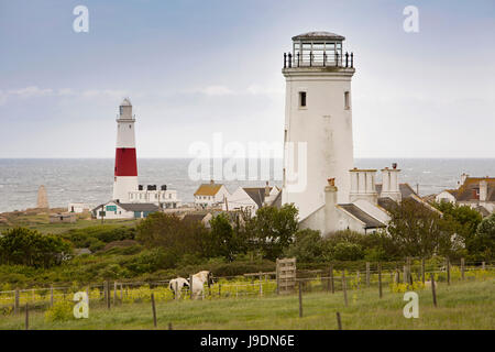 Royaume-uni l'Angleterre, dans le Dorset, Portland Bill lighthouse et de travail, vieux phare de Bonaventure blanc converti à l'Observatoire d'oiseaux Banque D'Images