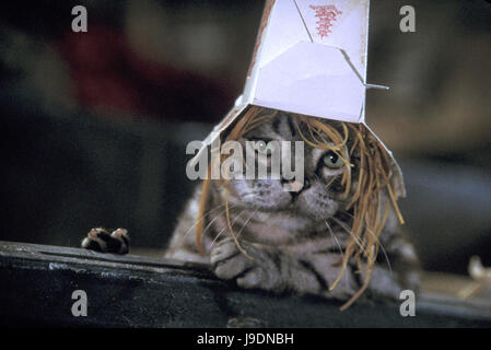 STUART LITTLE 2 Stuart Little 2 USA / 2002 / Rob Minkoff Voir. Regie : Rob Minkoff aka. Stuart Little 2 Banque D'Images