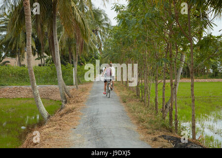 Les touristes du vélo à travers les rizières près de causeway entre Tan Hoa, province de Tien Giang, Delta du Mekong, Vietnam (MR) Banque D'Images