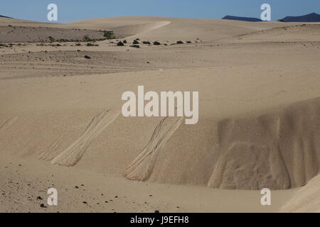 Les patrons de sable dans le parc naturel de Corralejo, Espagne-canaries Banque D'Images