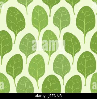 Les feuilles d'épinards modèle transparent. Vector background plantes Veggie vert. Illustration de Vecteur