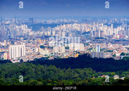 Sao Paulo de la forêt tropicale atlantique à Serra da Cantareira state park Banque D'Images