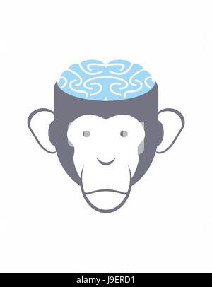 Cerveau de singe bleu. Tête d'Animal vector illustration. Logo pour l'Institut de recherche. Illustration de Vecteur