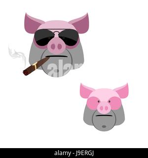 Porc avec un cigare. Effrayant et tête de sanglier en colère sur un fond blanc. Illustration de Vecteur