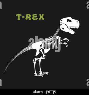 Squelette de tyrannosaurus rex. Les os et crâne de dinosaure. Dead T-Rex. Vieux os d'animaux à partir de la période jurassique. Illustration de Vecteur