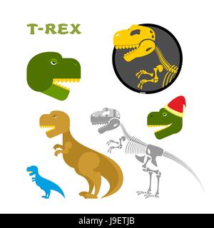 Collection d'articles. Tyrannosaurus Les os et le squelette. Chef de rapaces préhistoriques. Monster de jurassique. Emblème de dinosaures. T-Rex scénographies. Illustration de Vecteur