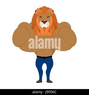 Strong Lion roi des animaux. Athlète athlète d'animaux sauvages. Leo de la condition physique. Bodybuilder sérieux avec une grande crinière. Les muscles énormes Illustration de Vecteur