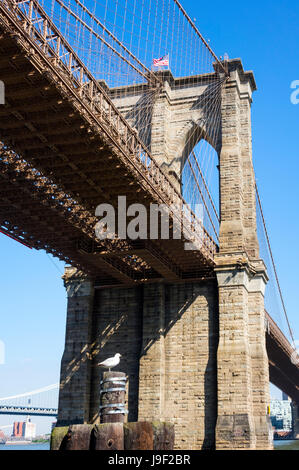 Une mouette posée sur un pieux en bois sous le pont de Brooklyn, vue de Lower Manhattan Banque D'Images