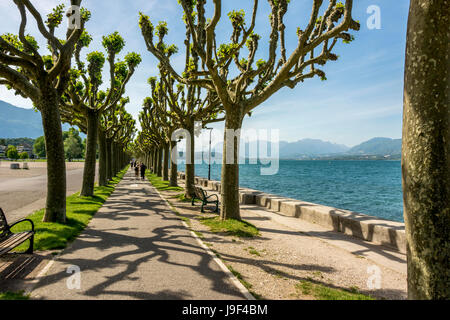 Chemin dans Aix-les-Bains sur les rives du lac du Bourget. Savoie. France Banque D'Images