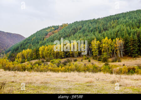 Vidin, Bulgarie, Koprivshtitsa, Teteven, Malyvitsa pick, Rila et Pirin, Pancharevo lake, Etara : de beaux endroits de la Bulgarie, de l'Europe Banque D'Images