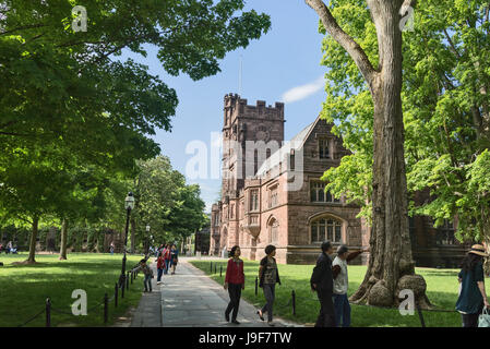 Allée du campus et à l'Est vers la droite, Pyne célèbre l'Université de Princeton, New Jersey, USA Banque D'Images