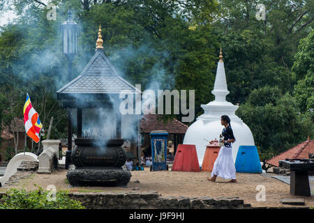 Un pèlerin porte des offrandes de l'encens à un culte au Temple de la Dent à Kandy, Sri Lanka Banque D'Images