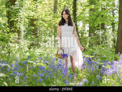 Jeune femme au bouquet de fleurs jacinthes transportant dans un trug en bois Banque D'Images