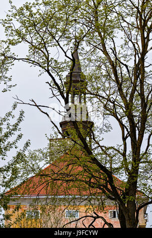 Vue de la tour de l'Hôtel de ville de Narva contre le ciel à travers les branches d'un arbre. Banque D'Images