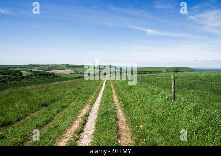 Bague Chanctonbury Wolstonbury et vu de la colline un sentier sur les South Downs dans West Sussex Banque D'Images