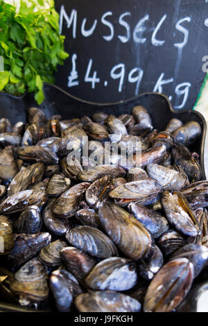 Prix / kg kilogramme tag board & sélection de poisson humide / moules à l'échoppe de marché intérieur / cale de West Quay, Whitstable, Kent Port UK. Banque D'Images