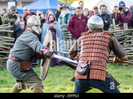 Herigeas Hundus ou chiens de guerre, un groupe de reconstitution de Saxon, faire preuve d'épée et le bouclier à la lutte contre le Festival de Beltain à Butser Ancient Farm Banque D'Images