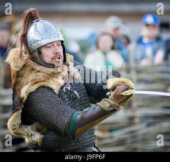 Herigeas Hundus ou chiens de guerre, un groupe de reconstitution de Saxon, faire preuve d'épée et le bouclier à la lutte contre le Festival de Beltain à Butser Ancient Farm Banque D'Images