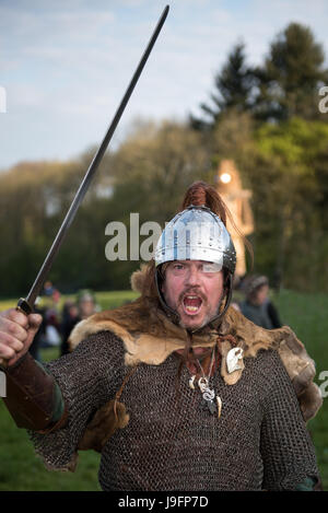 Herigeas Hundus ou chiens de guerre, un groupe de reconstitution de Saxon, faire preuve d'épée et le bouclier à la lutte contre le Festival de Beltain à Butser Ancient Farm Banque D'Images