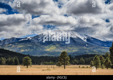 L'été s'attarde, avec des touches de l'automne et l'hiver descend sur les San Francisco Peaks. Flagstaff, AZ. Banque D'Images