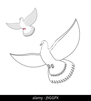 Colombe blanche à colorier. Flying Pigeon blanc. Oiseau ailes agitant Contour. Livre de coloriage pour enfants et d'oiseau. Illustration de Vecteur